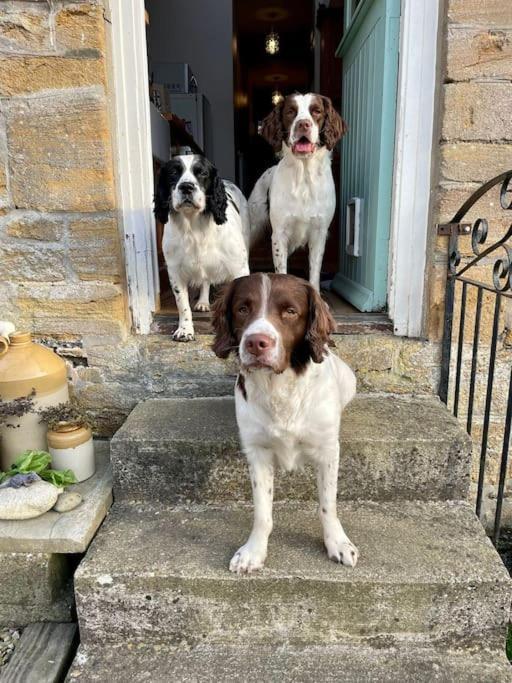 Spaniel Cottage With Views Of Ham Hill, Stoke Sub Hamdon Марток Экстерьер фото